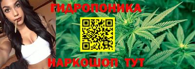 MDMA Можга