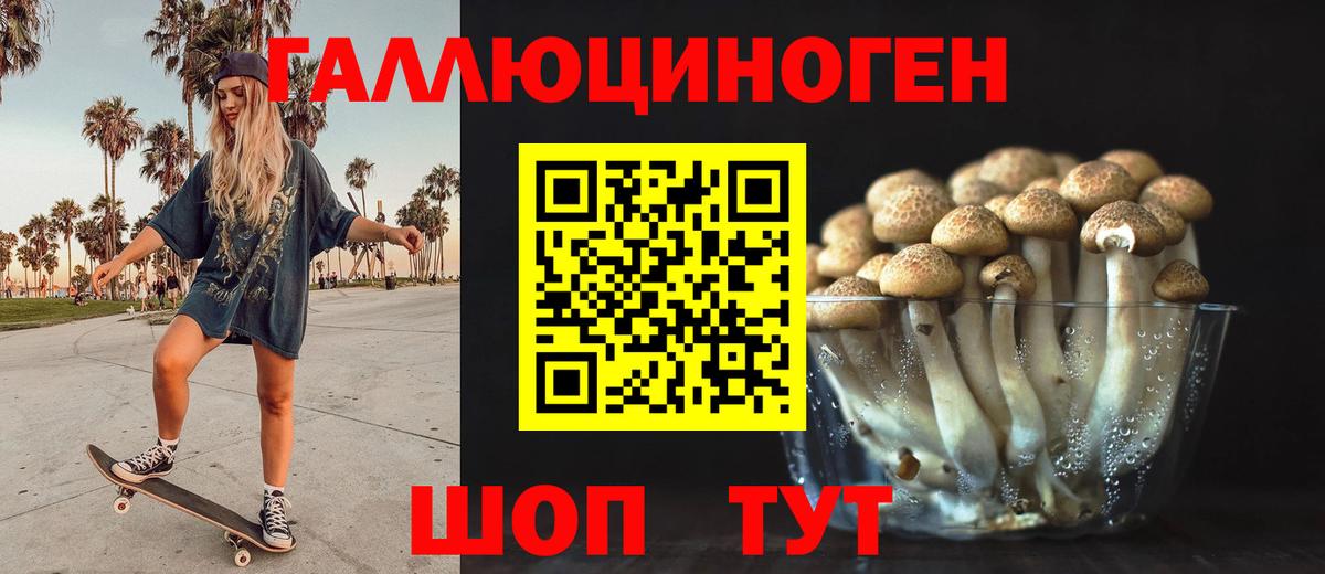 Чебаркуль  Псилоцибиновые грибы MAGIC MUSHROOMS  Вход с VPN 